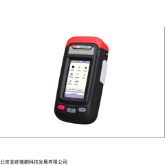 DP17510 电力远动测试仪