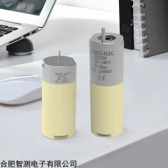 ZC03TS 无线实时温度验证系统 实时温度验证仪