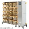 生物安全型IVC大鼠笼具 库号：M262551