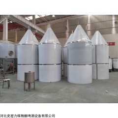 100~5000升 自動(dòng)化啤酒生產(chǎn)線設(shè)備30噸精釀啤酒發(fā)酵罐設(shè)備