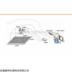 安徽耀坤ZL-XEYE 小動(dòng)物多通道恐懼實(shí)驗(yàn)系統(tǒng)