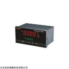 DP10118  智能显示控制仪/数显表