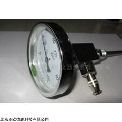 DP10196  双金属温度计/远程温度计