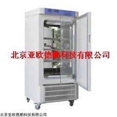 DP10198  恒温恒湿箱
