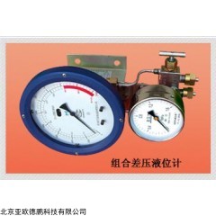 DP10274  组合差压液位计