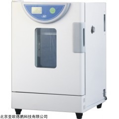 DP10283-9162 恒温培养箱