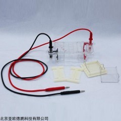DP10457  琼脂糖水平电泳仪(槽)(微型) 水平电泳仪
