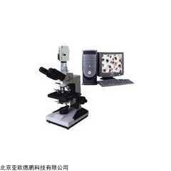 DP10477  电脑型生物显微镜/生物显微镜