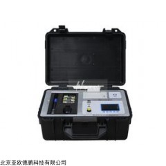 DP10684  智能电导盐密测试仪