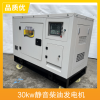 大泽动力柴油发电机30千瓦工程用