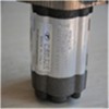 电话13385923448 意大利RONZIO齿轮泵03ZBG55L360D