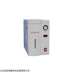 DP10877  氢发生器