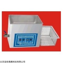 DP11153-500VDE 双频超声波清洗器