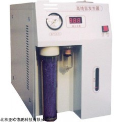 DP11172  氢发生器