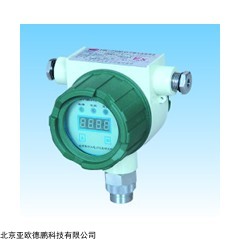 DP11219  有毒气体探测器