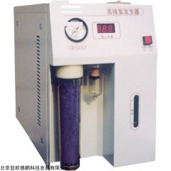DP11172  氢发生器