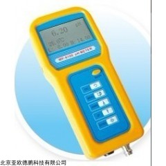 DP11384  便携式PH/ORP计/便携式PH计