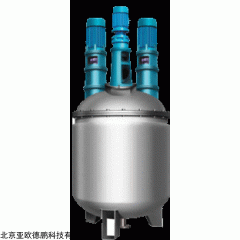 DP11478  多功能分散反应釜