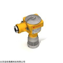 DP11536  可燃气体报警器