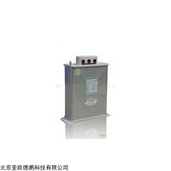 DP11568  自愈式低压并联电容器