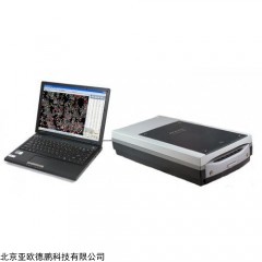 DP12032  稻米分析仪米质判定仪