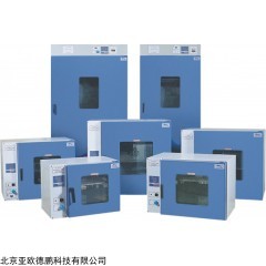 DP12176  电热恒温鼓风干燥箱