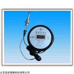 DP12196  数显温度计