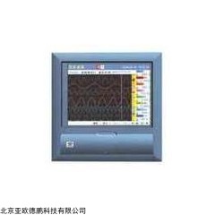 DP12221  压力记录仪