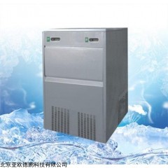 DP12376  雪花制冰机