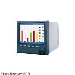 DP12416  无纸记录仪