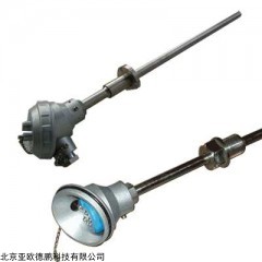 DP12538  一体化温度变送器