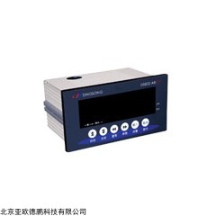 DP12629  称重控制仪表