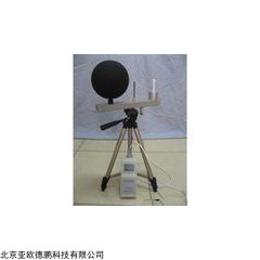 DP12676  黑球湿球温度指数仪