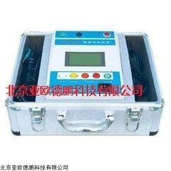 DP12810  智能型兆欧表