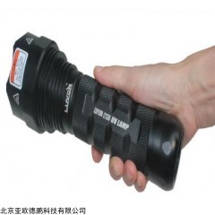 DP12853  脱脂清洗黑光灯