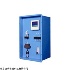 DP12876  在线联氨检测仪