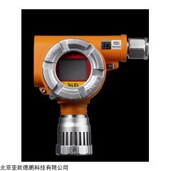 DP13019  有毒气体探测器
