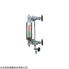 DP13243  石英管式双色水位表