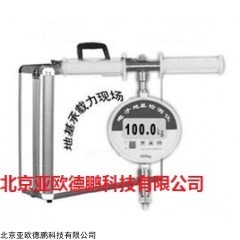 DP13245  智能型地基承载力现场检测仪