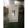 DP30286 带打印生化培养箱