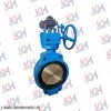 船用双偏型蝶阀对夹式双偏心蝶阀法兰双偏心碟版阀