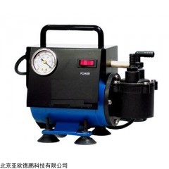 DP13651  无油真空泵