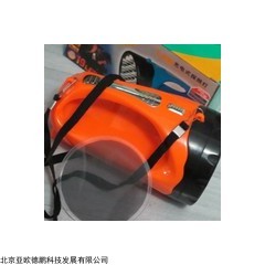 DP13056  便携式钢化玻璃检测仪