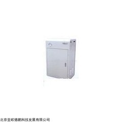 DP13099  高纯水发生仪