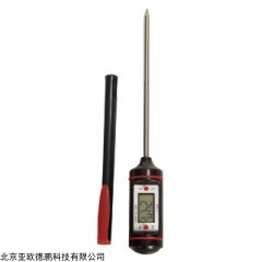 DP14807  数字温度计