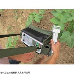 DP13754  蒸腾速率测定仪