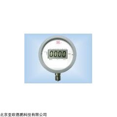 DP14859  智能数字防暴电接点压力表