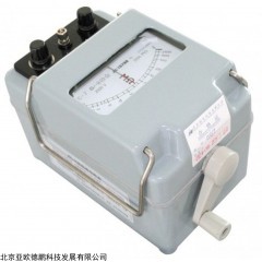 DP13991  绝缘电阻表