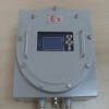 301型 防爆温湿度仪