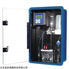 DP15615  在线钠离子检测仪